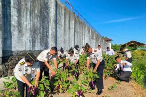 Lapas Amurang bentuk kemandirian warga binaan melalui program SAE