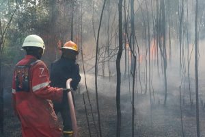 Benarkah tepung singkong bisa memadamkan api? Ini faktanya