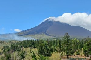 BPBD: Kebakaran hutan lindung Gunung Soputan Sulut capai 50 hektare
