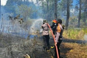 TNI-Polri dan instansi terkait padamkan kebakaran hutan Gunung Soputan