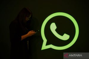 Harga WhatsApp Business naik 1 Oktober, ini faktanya