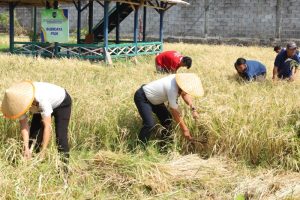 Lapas Amurang ikutkan warga binaan menjaga ketahanan pangan