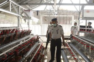 Ditjenpas Sulut dorong penguatan kegiatan produktif pemasyarakatan