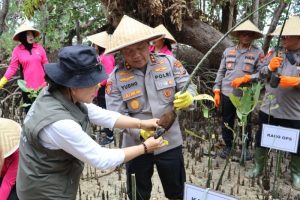 Kapolda Sulut dan Wali Kota Manado tanam mangrove di pesisir Bunaken